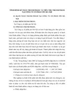 TÌNH HÌNH KẾ TOÁN THÀNH PHẨM  VÀ TIÊU THỤ THÀNH PHẨM TẠI CÔNG TY CỔ PHẦN PIN HÀ NỘI