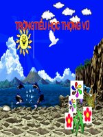 Khoa 5: Ôn tập: Con người và sức khỏe (T2)