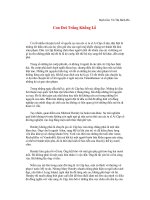 Con Dơi Trắng Khổng Lồ