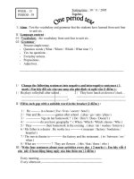 KT 1 tiết tuần 13