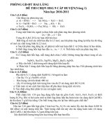 ĐỀ THI HSG 2010-2011