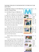 GIỚI THIỆU TỔNG QUÁT VỀ CHI NHÁNH CÔNG TY CỔ PHẦN MAY 19