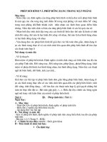 Phép dời hình và phép đồng dạng trong mặt phẳng