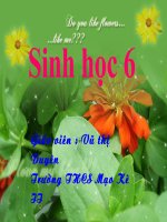 Tiết 18 - Biến dạng của thân