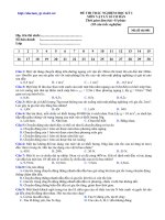 Đề thi chuẩn Vật Lý 10 học kỳ 1