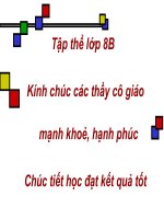 Tiết 63 - Đại số 8