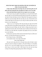 PHÂN TÍCH THỰC TRẠNG THỊ TRƯỜNG TIÊU THỤ  SẢN PHẨM CỦA CÔNG TY CAO SU SAO VÀNG