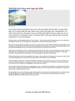 Phát hiện loài cá heo nước ngọt quý hiếm