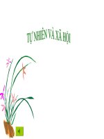 Đồ dung trong gia đình