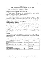 CÁC VIRUS CÓ ENZYME PHIÊN NGƯỢC (RT)