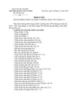 Báo Cáo tháng 11 của trường TH Tân Hoà