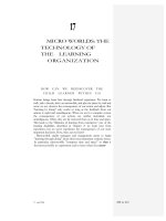 MICRO WORLDS - THE TECHNOLOGY OF THE LEARNING ORGANIZATION