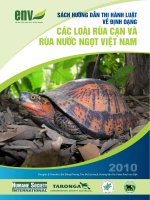 Tài liệu hướng dẫn định dạng các loài rùa Việt Nam