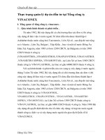 Thực trạng quản lý dự án đầu tư tại Tổng công ty  VINACONEX