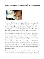 Giảm cholesterol và đường huyết từ nấm bào ngư