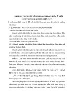 MÔ HÌNH PHÁP LUẬT VỀ KINH DOANH BẢO HIỂM Ở VIỆT NAM TRONG GIAI ĐOẠN HIỆN NAY