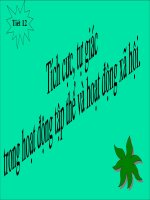 Bai 10 Tich cuc tu giac trong hoat dong tap the vahoat dong xa hoi- P. Hường