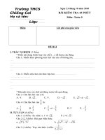 Bài kiểm tra 45'''' Lý 7_2010