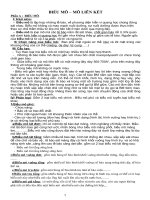 giải phẩu người chi tiết