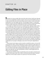 Editing Files in Place