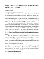 CƠ SỞ LÝ LUẬN VÀ GIỚI THIỆU VỀ CÔNG TY TNHH MTV THỰC PHẨM VÀ ĐẦU TƯ FOCOCEV