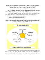 THỰC TRẠNG CÔNG TÁC TẠO ĐỘNG LỰC CHO CÁN BỘ NHÂN VIÊN TẠI CTCP CHẾ BIẾN THỰC PHẨM KINH ĐÔ MIỀN BẮC