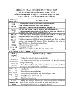 THẾ GIỚI ĐỘNG VẬT nhánh 2