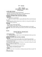 chuẩn kiến thức khối 6