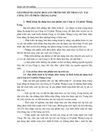 GIẢI PHÁP ĐA DẠNG HOÁ SẢN PHẨM NƯỚC ÉP TRÁI CÂY  TẠI CÔNG TY CỔ PHẦN THĂNG LONG