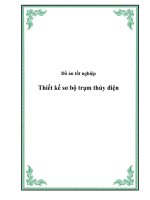 Đồ án tốt nghiệp: Thiết kế sơ bộ trạm thủy điện