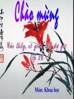 bai 13 Khoa hoc Da voi