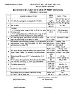 Kế hoạch tháng 12/2010