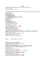 Đề thi toán trên máy tính