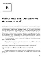 WHAT ARE THE DESCRIPTIVE ASSUMPTIONS