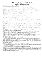 De cuong on tap NV 9 Ki 1