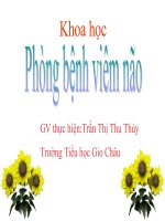 BAI 14 PHONG BENH VIEM NAO