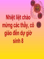 bai Tim và mach mau