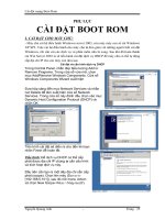 (Phụ lục SKKN Đạt Giải B Tỉnh Đăk Lăk)