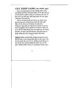 MỘT SỐ BÀI THUỐC TRỊ BỆNH DÂN GIAN HAY