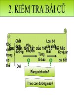 Tiết 17. Tuần hoàn - SNC