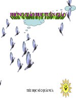 Học vần tuần 11