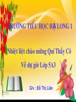 Tap doc: Ki dieu rung xanh