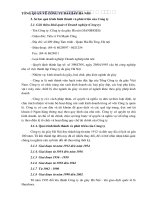 TỔNG QUAN VỀ CÔNG TY DA GIÀY HÀ NỘI