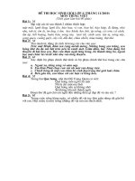 DE THI HSG LOP 4 (Thang 11)