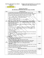 Đáp án HSG12_V1_Tỉnh_2010-2011