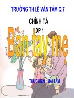 Chinh ta : Ban tay me