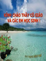 Tiết 31: Mặt phẳng tọa độ