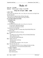 Tuần 15 buổi chiều đầy đủ