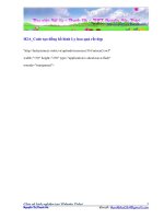 H2A_Code tạo đồng hồ hình Ly hoa quả rất đẹp