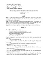 de thi hs gioi cap huyen